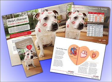 Vetmedin items